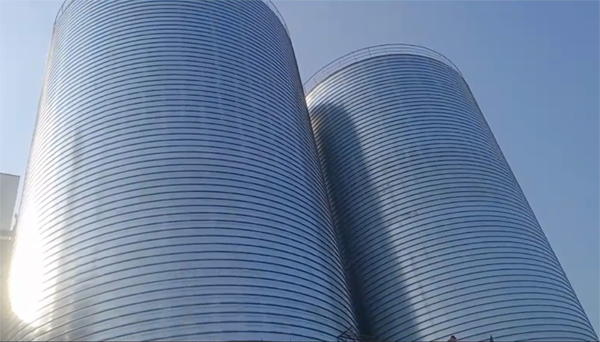 屯溪2座混凝土高架卷板仓